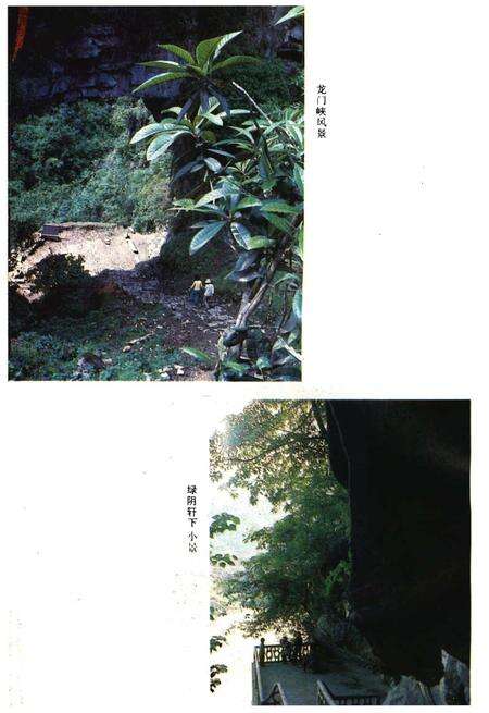 《彭水苗族土家族自治县概况》.pdf电子版_重庆市志预览图5