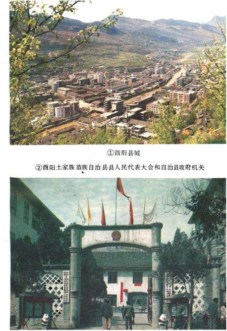 《酉阳土家族苗族自治县概况》.pdf电子版_重庆市志预览图3