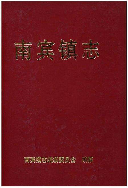 《南宾镇志》.pdf电子版_重庆市志缩略图