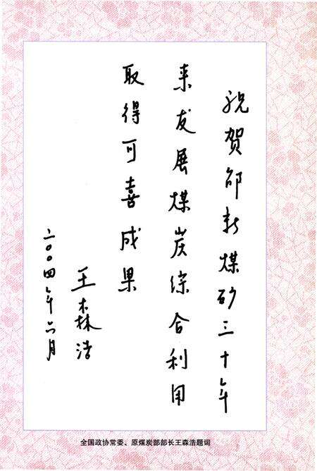 《梁平县国营邵新煤矿志(1994-2003)》.pdf电子版_重庆市志预览图3