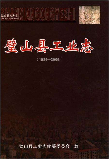 《璧山县工业志(1986-2005)》.pdf电子版_重庆市志缩略图