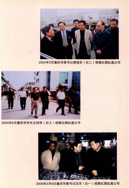 《璧山县工业志(1986-2005)》.pdf电子版_重庆市志预览图5