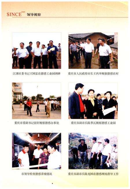 《德感街道办事处志1905-2006》.pdf电子版_重庆市志预览图5