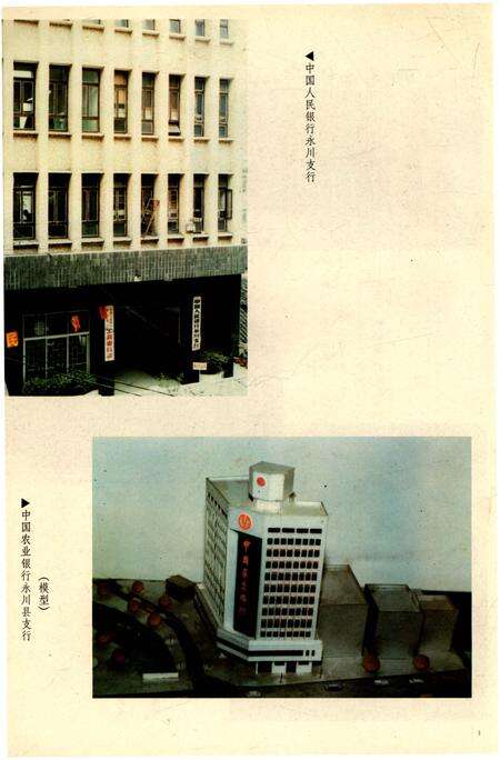 《永川县金融志1911-1988》.pdf电子版_重庆市志预览图4