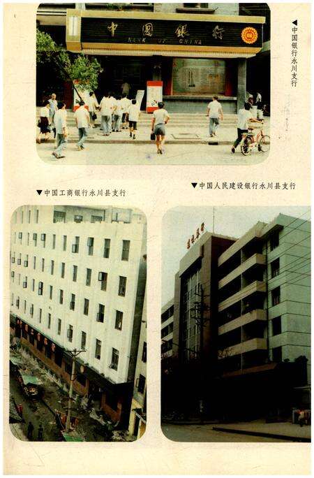 《永川县金融志1911-1988》.pdf电子版_重庆市志预览图5