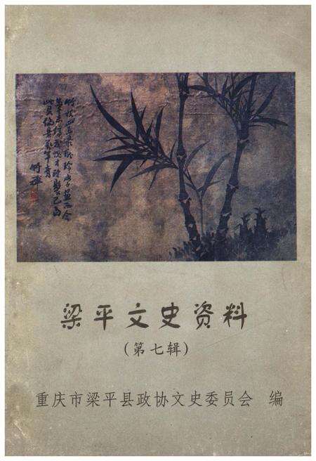 《梁平文史资料 第七辑》.pdf电子版_重庆市志缩略图