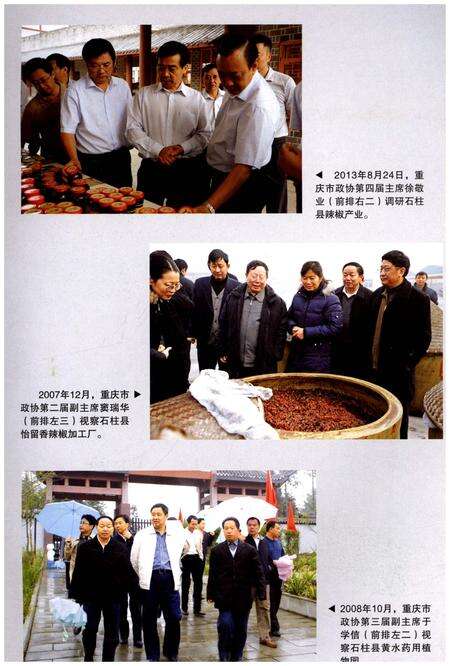 《石柱土家族自治县委员会志（1949-2015）》.pdf电子版_重庆市志预览图5