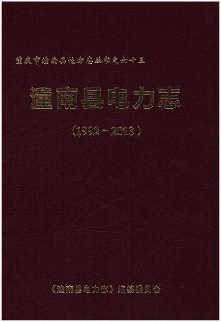 《潼南县电力志 1992-2013》.pdf电子版_重庆市志缩略图