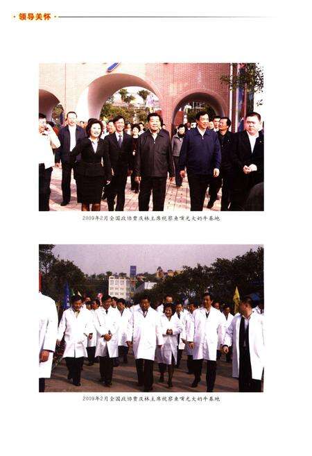 《江北区农林水利志 1986-2009》.pdf电子版_重庆市志预览图5