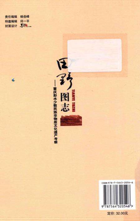 《田野图志 重庆彭水少数民族非物质文化遗产考察》.pdf电子版_重庆市志预览图1