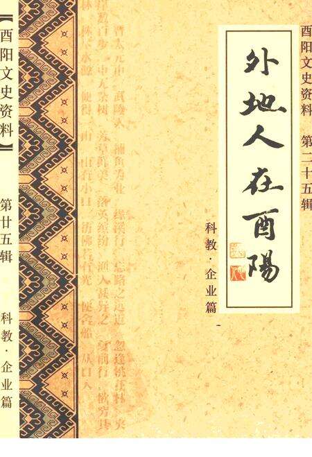 《外地人在酉阳 第二十五辑》.pdf电子版_重庆市志缩略图
