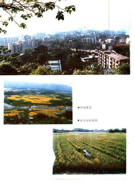 《垫江县志》.pdf电子版_重庆市志预览图3