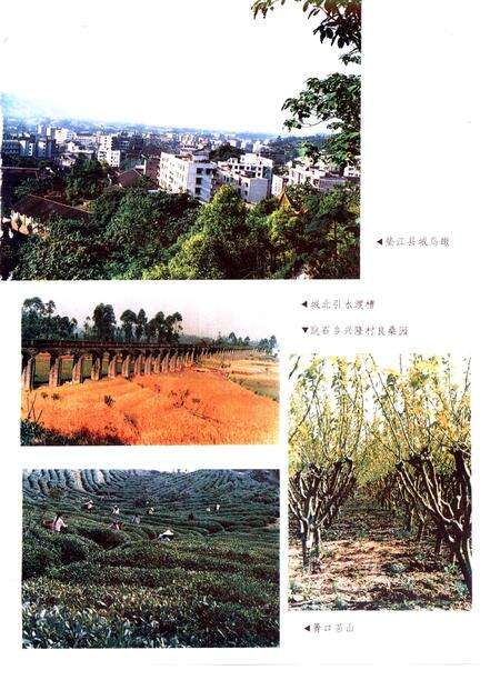 《垫江县志》.pdf电子版_重庆市志预览图4