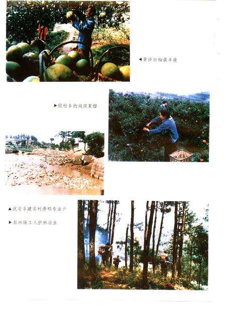 《垫江县志》.pdf电子版_重庆市志预览图5