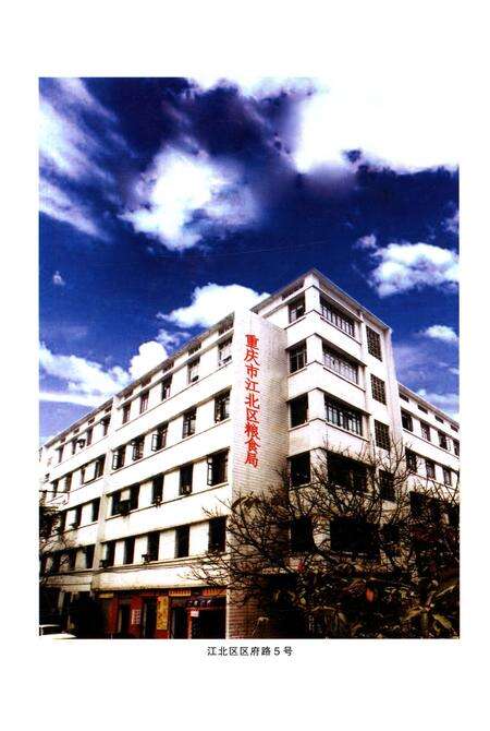 《江北区粮食志1986-2005》.pdf电子版_重庆市志预览图3