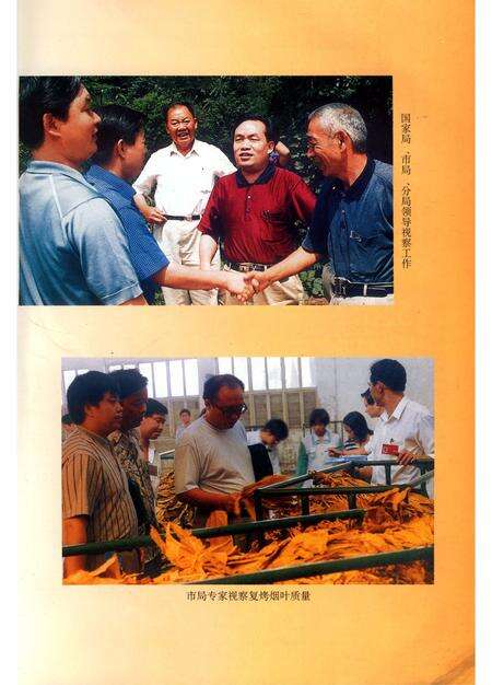 《酉阳烟草志》.pdf电子版_重庆市志预览图4