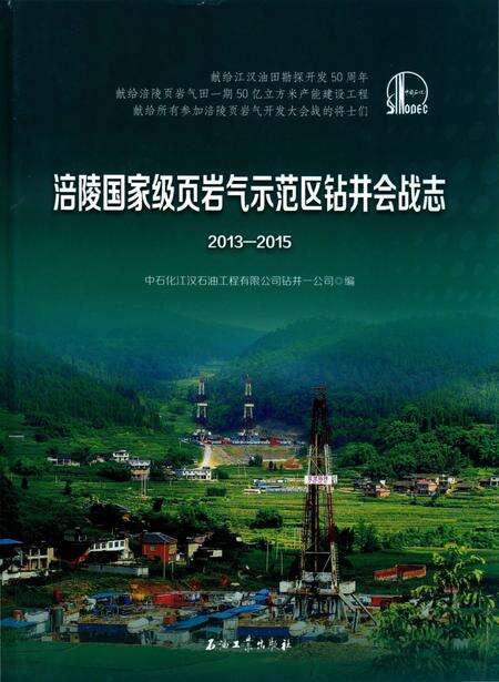 《洁陵国家级页岩气示范区钻井会战志》.pdf电子版_重庆市志缩略图