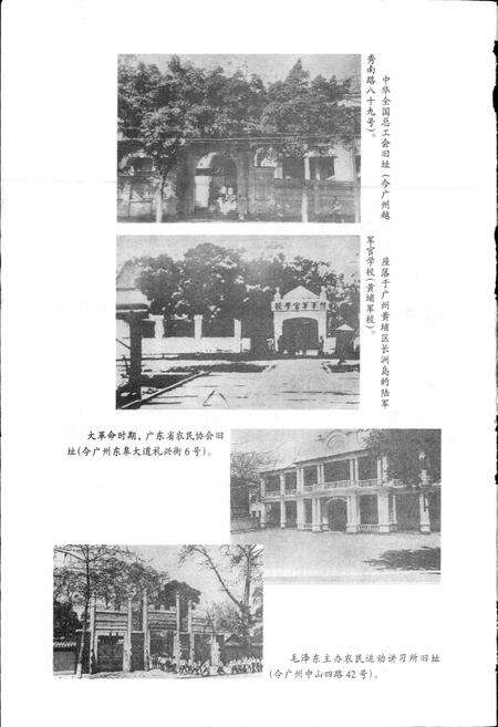 《广州市志·共产党志》.pdf电子版_广东省志预览图5