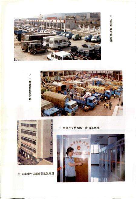 《贵阳市志 工商行政管理志》.pdf电子版_贵州省志预览图5