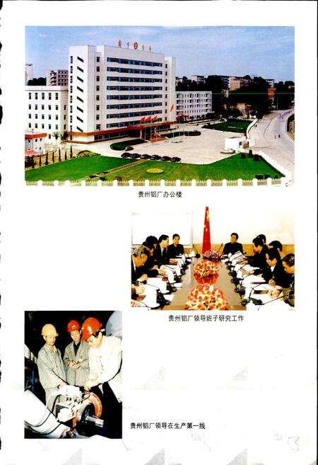 《贵阳市志 铝工业志》.pdf电子版_贵州省志预览图5