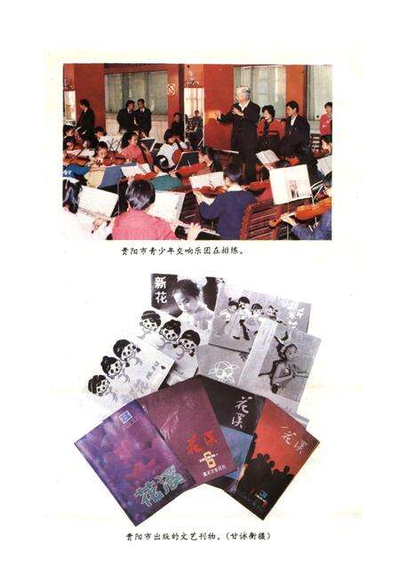 《贵阳市志 文化新闻志》.pdf电子版_贵州省志预览图5