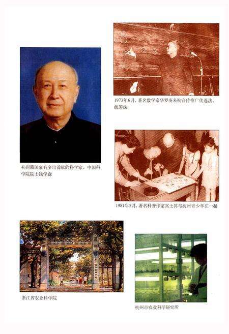 《杭州市志 第七卷》.pdf电子版_浙江省志预览图4