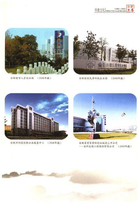 《合肥市志1986-2005 下》.pdf电子版_安徽省志预览图5