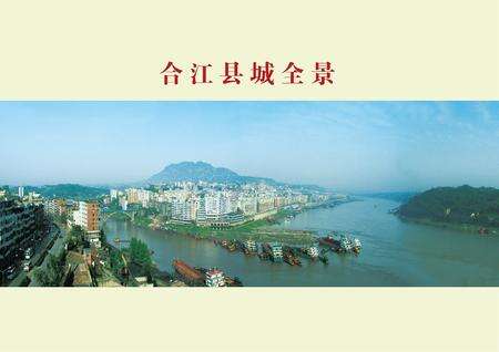 《合江县志（1986-2005）》.pdf电子版_四川省志预览图4