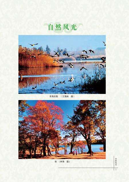 《鹤庆县志1978-2005》.pdf电子版_云南省志预览图3