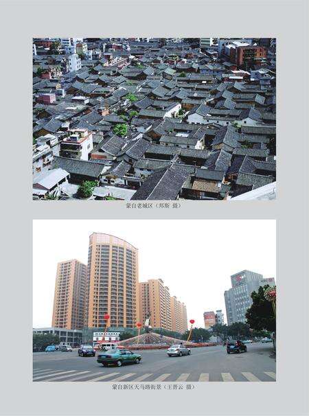 《红河州志（1978-2005）中册》.pdf电子版_云南省志预览图3