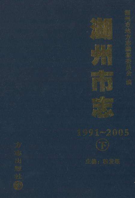 《湖州市志1991-2005下》.pdf电子版_浙江省志缩略图