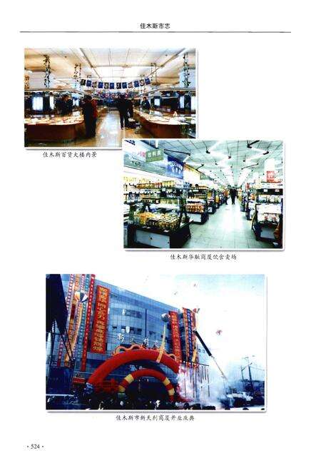 《佳木斯市志（1990～2005）中卷》.pdf电子版_黑龙江省志预览图4