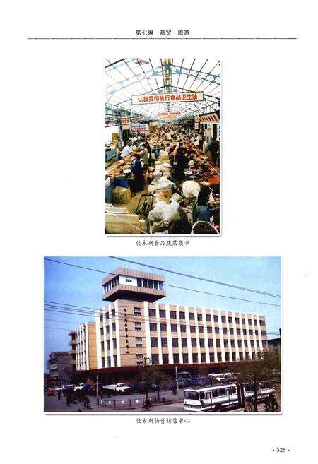 《佳木斯市志（1990～2005）中卷》.pdf电子版_黑龙江省志预览图5