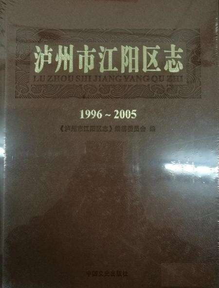 《江阳区志（1996-2005）》.pdf电子版_四川省志缩略图