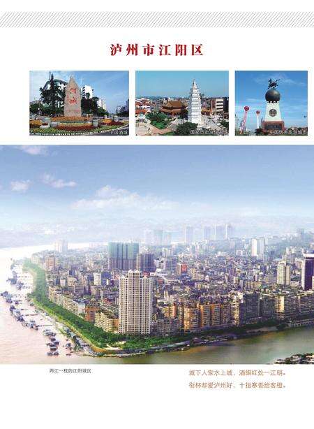 《江阳区志（1996-2005）》.pdf电子版_四川省志预览图2