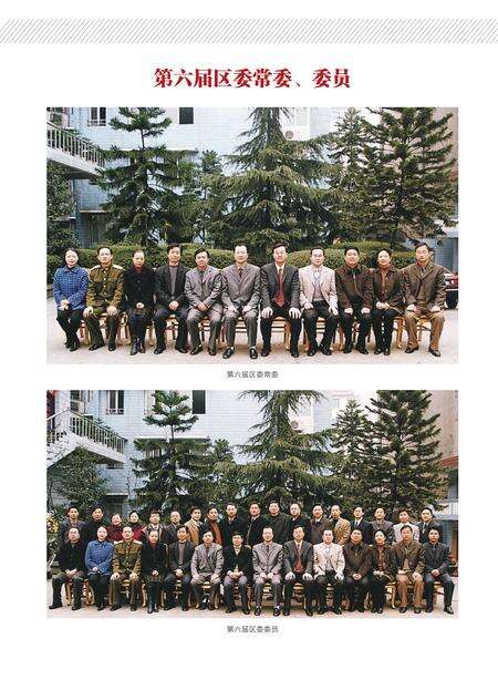 《江阳区志（1996-2005）》.pdf电子版_四川省志预览图4