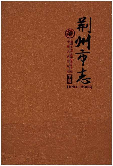 《荆州市志(1994-2005) 下册》.pdf电子版_湖北省志缩略图