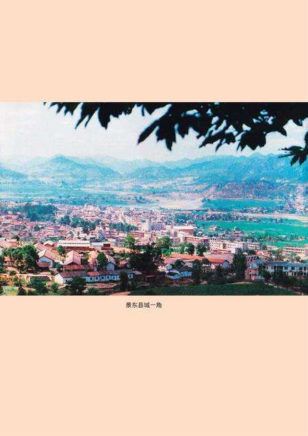 《景东彝族自治县志》.pdf电子版_四川省志预览图5