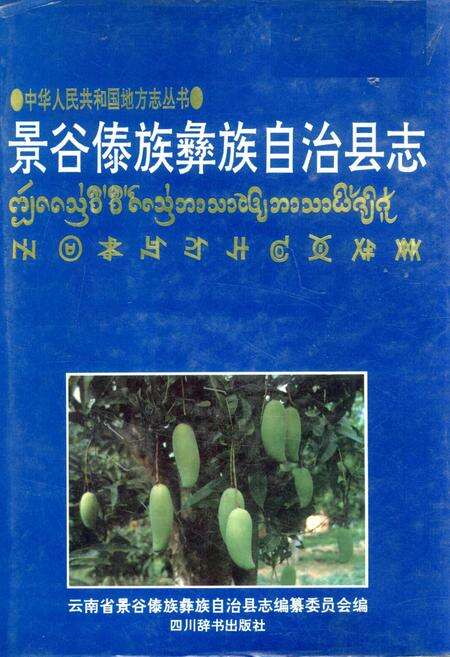 《景谷傣族彝族自治县志》.pdf电子版_云南省志缩略图