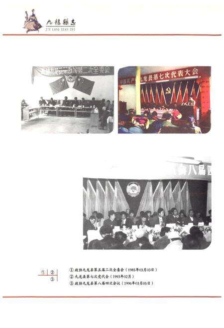 《九龙县志 续篇(1986-2000年)》.pdf电子版_四川省志预览图4
