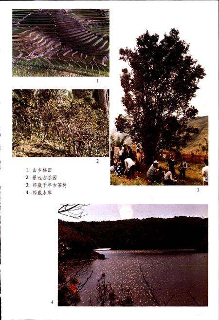 《澜沧拉祜族自治县志》.pdf电子版_云南省志预览图4