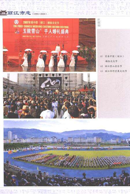 《丽江市志（1991-2010）下》.pdf电子版_云南省志预览图4