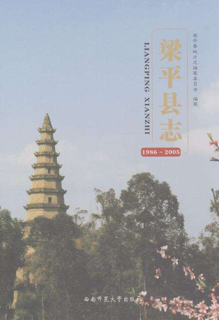 《梁平县志（1986-2005）》.pdf电子版_重庆市志缩略图