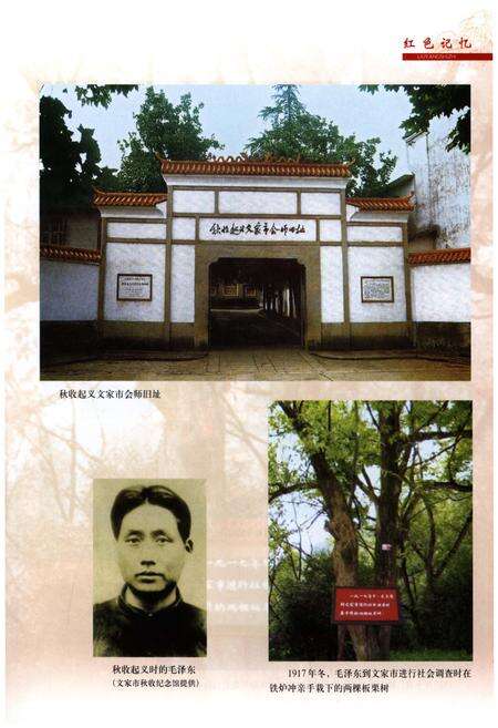 《浏阳市志(1988-2002)》.pdf电子版_湖南省志预览图4