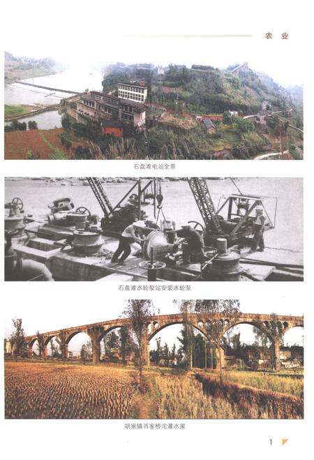 《隆昌县志1986-2002》.pdf电子版_四川省志预览图3