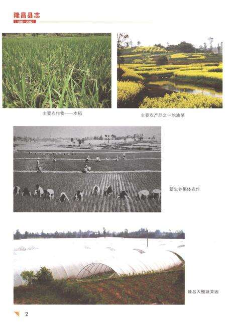 《隆昌县志1986-2002》.pdf电子版_四川省志预览图4