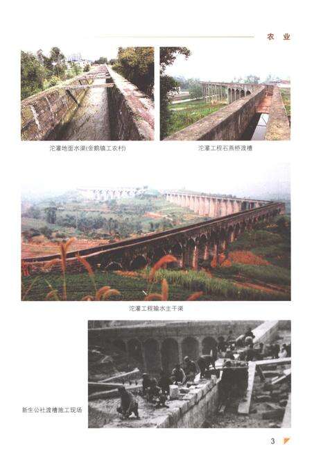 《隆昌县志1986-2002》.pdf电子版_四川省志预览图5