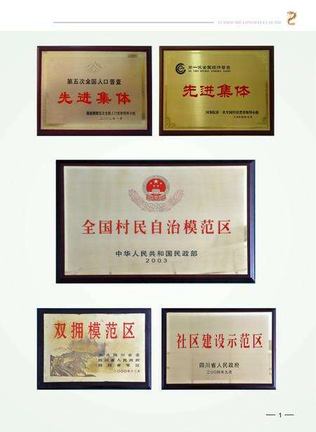 《泸州市龙马潭区志 （1996-2005）》.pdf电子版_四川省志预览图5