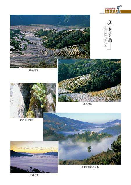 《绿春县志(1978-2005)》.pdf电子版_云南省志预览图3
