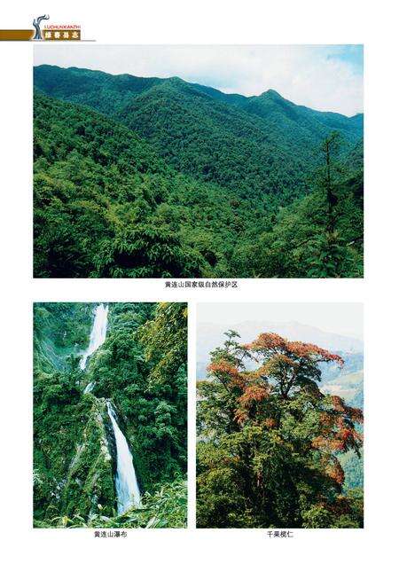 《绿春县志(1978-2005)》.pdf电子版_云南省志预览图4